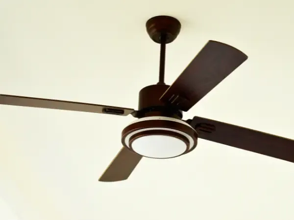 Light Fixture & Ceiling Fan Installation
